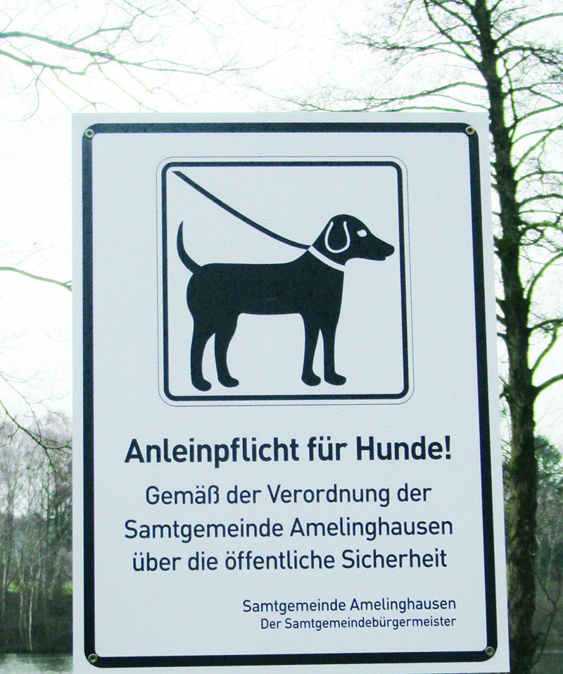 Hunde müssen wieder an die Leine