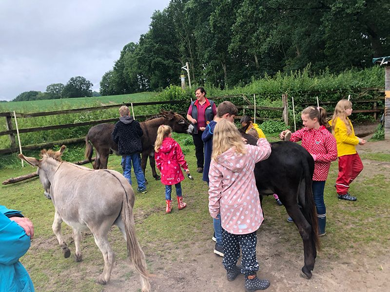Zu Besuch im Eselparadies