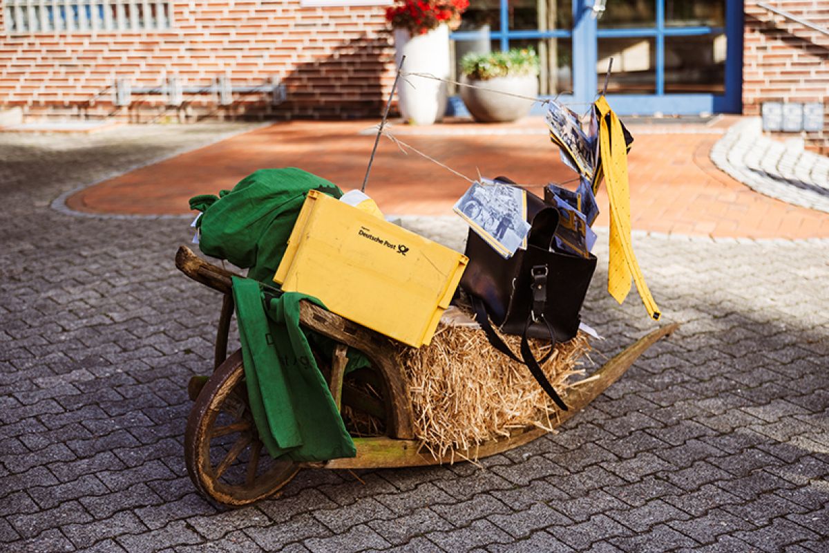 Kategorie: Erwachsene Platz 1